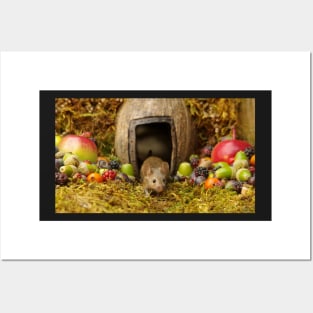 George the mouse in a log pile house Posters and Art